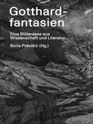 cover image of Gotthardfantasien
